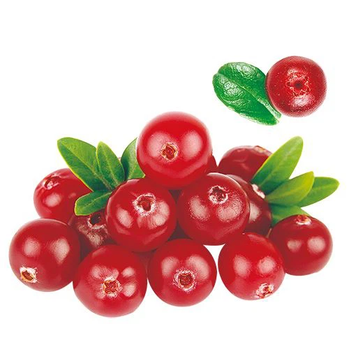 Instant Cranberry Powder