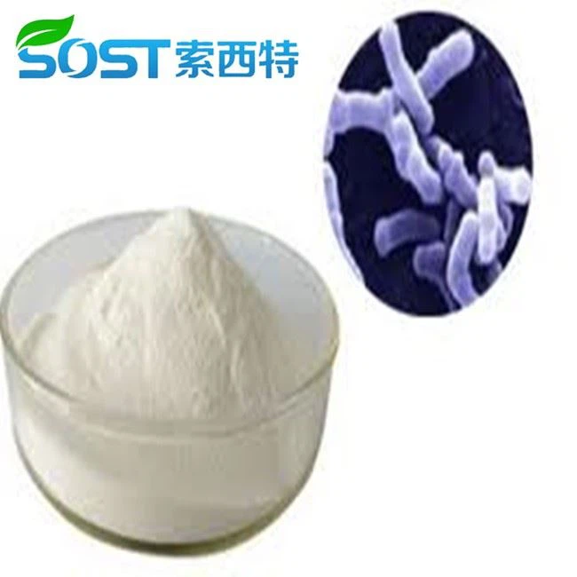 Lactobacillus Casei