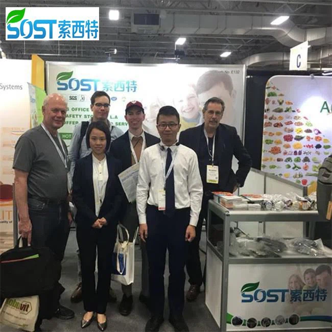 Potassium Sorbate Echa Powder