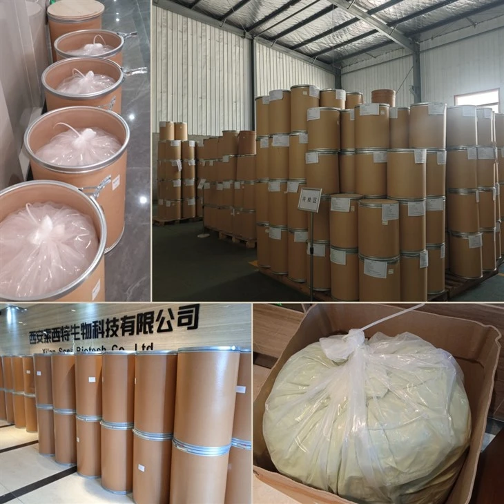 Sugarcane Extract Polyphenol factory